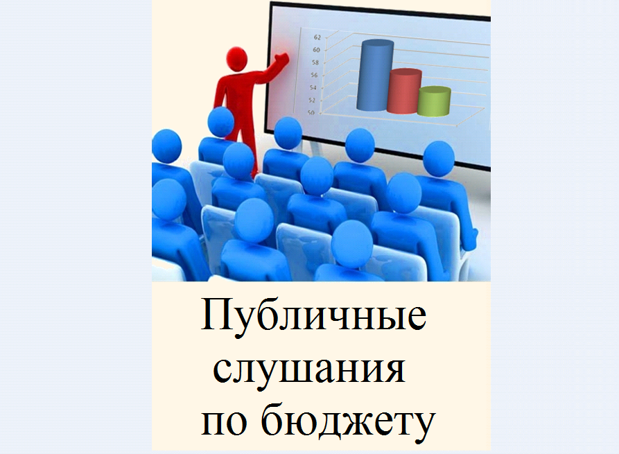 Публичные слушания по бюджету.